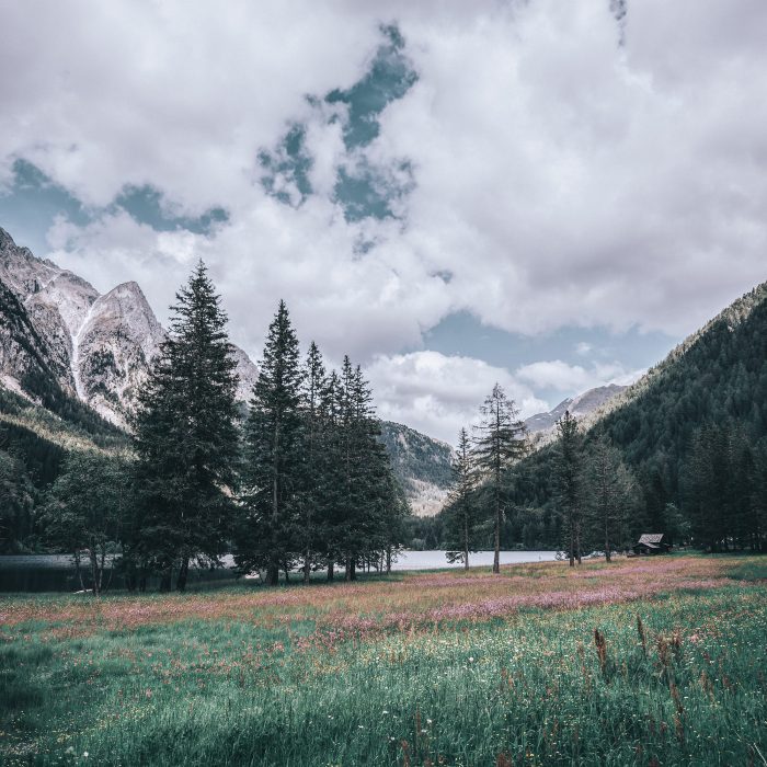 Mountains